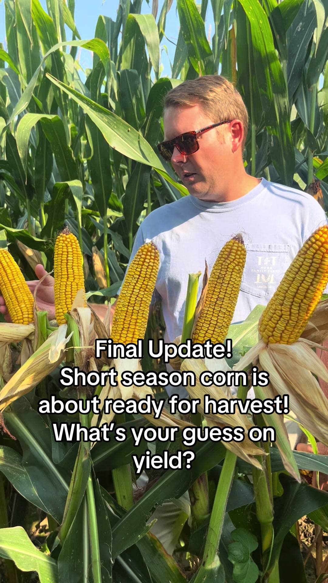 @hookfamilyfarms