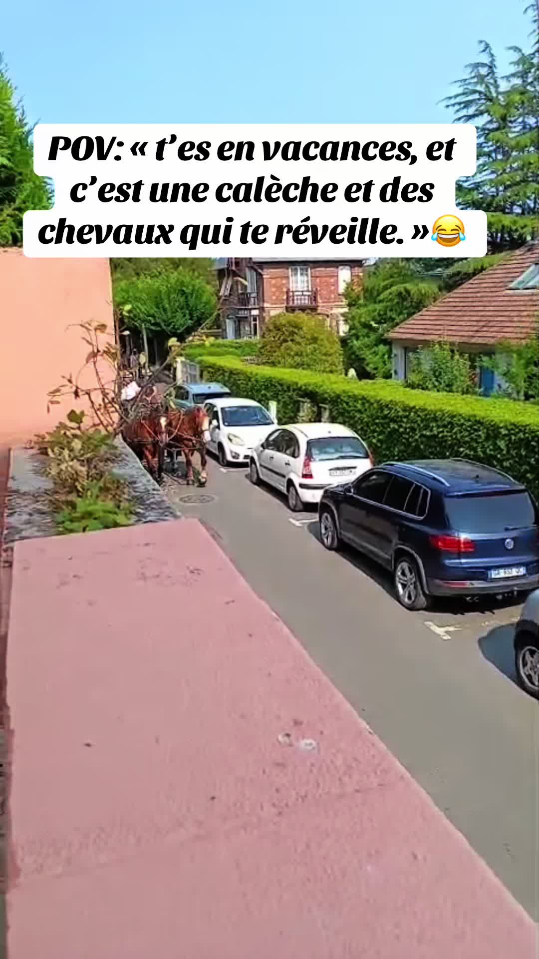 @Le fou du manoir