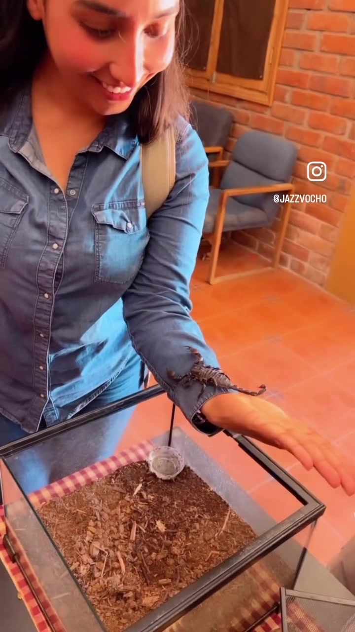 @Jazzvocho