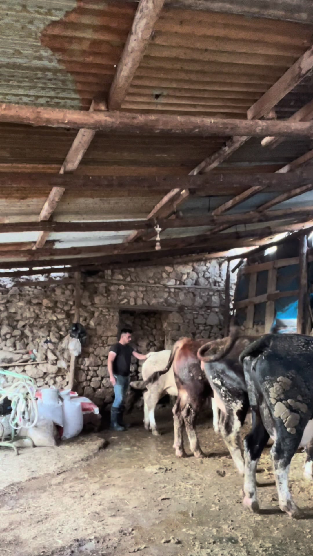 @Serkan &Ccedil;inkaya