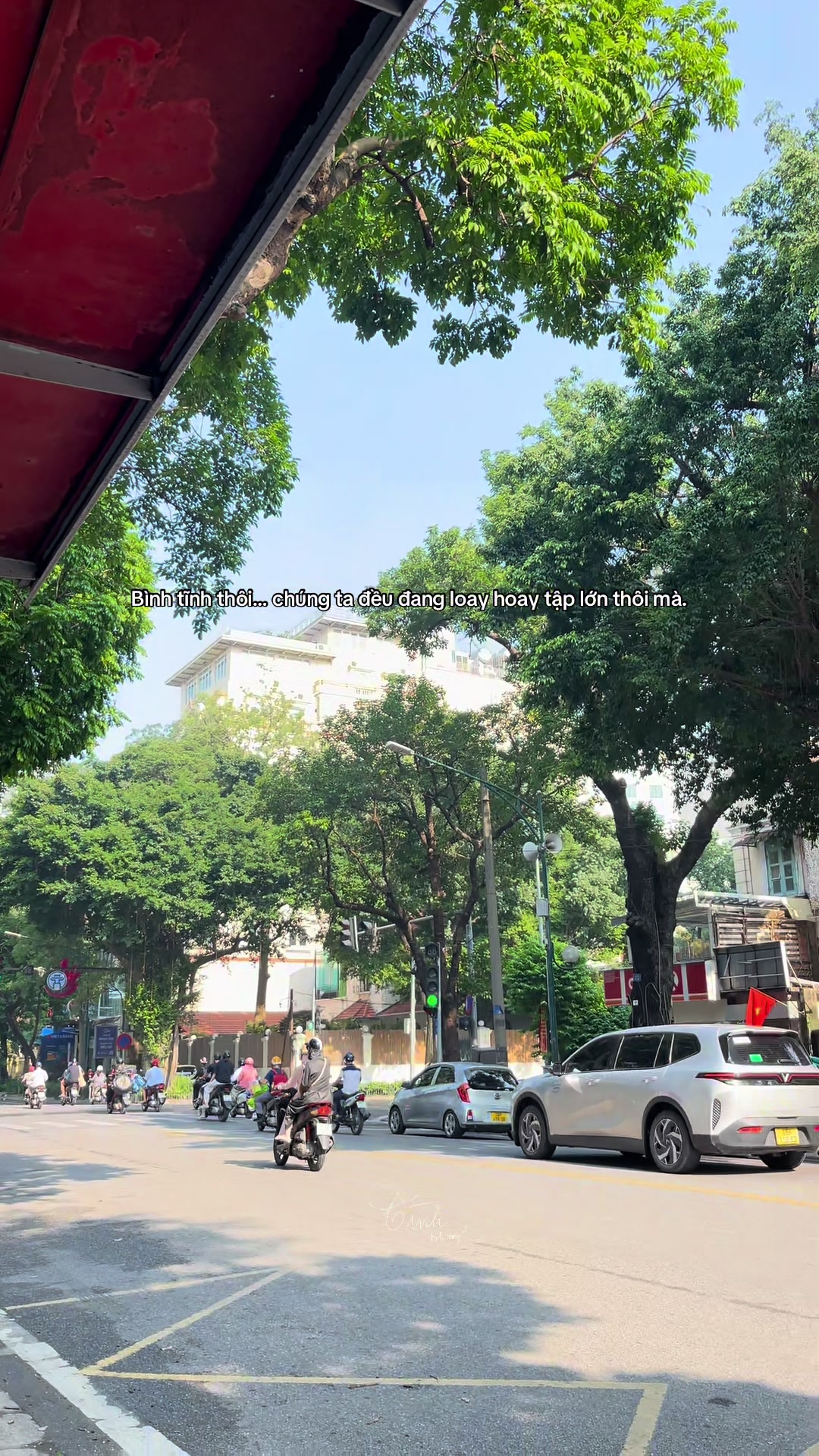 @Reels của Tình 🫧