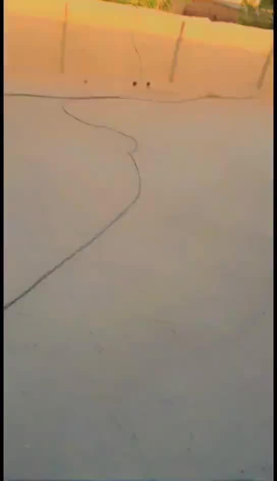 @شانی صادق آباد الَا
