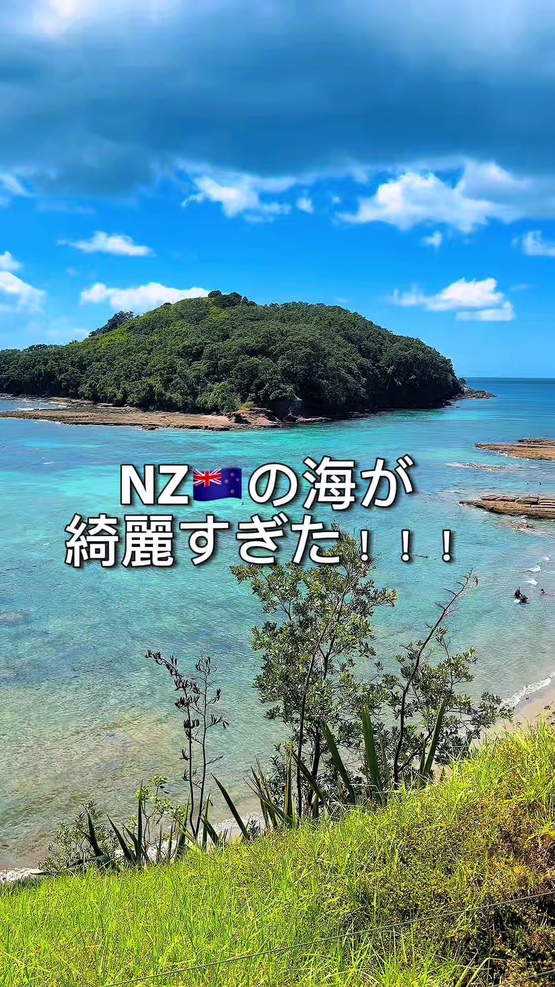 @🇳🇿もぐしゅん🍖🐘