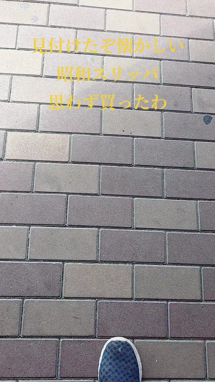 @零🇯🇵🌸零戦一番機🌸🇯🇵