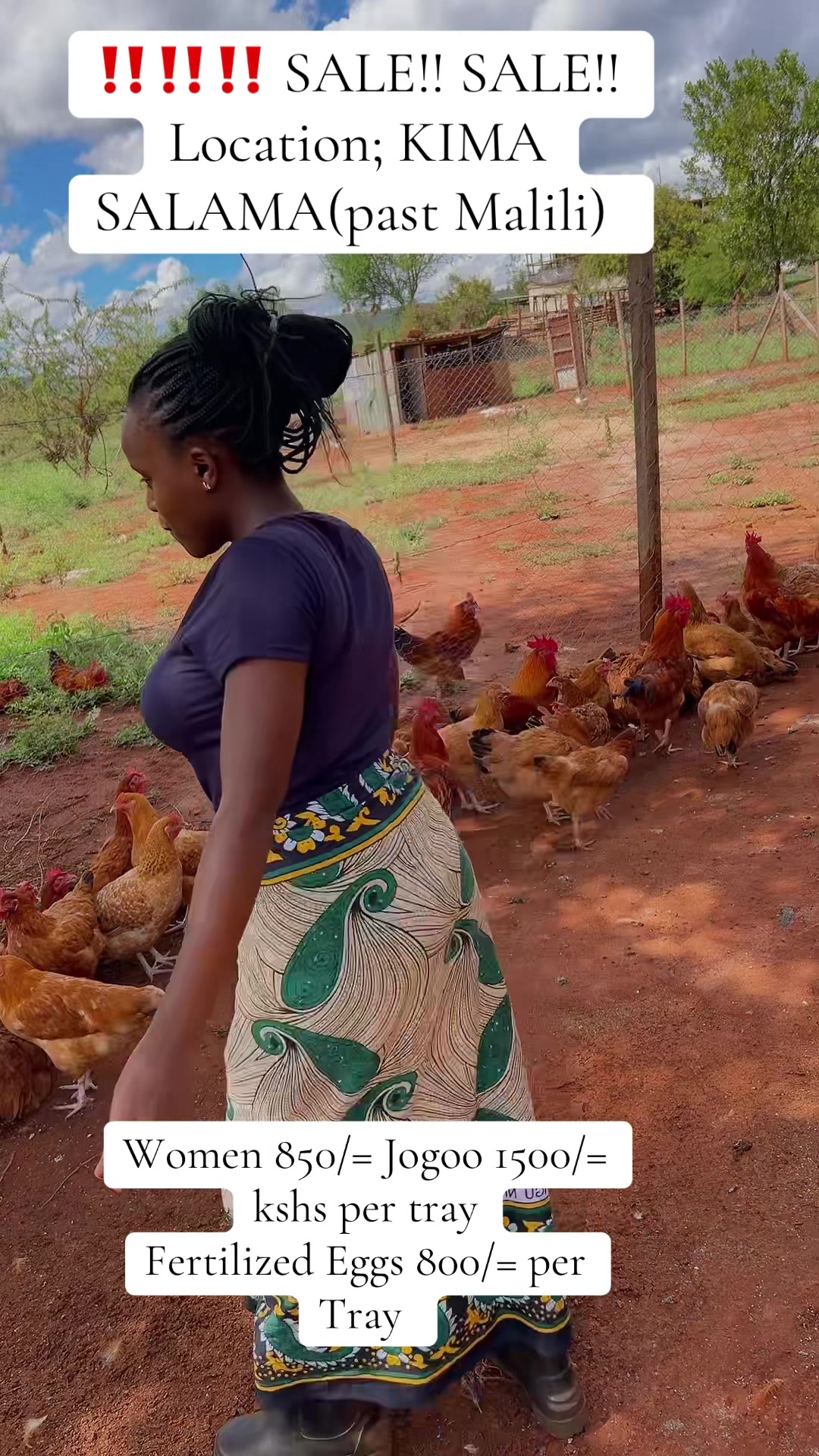 @kimasmartfarmsltd