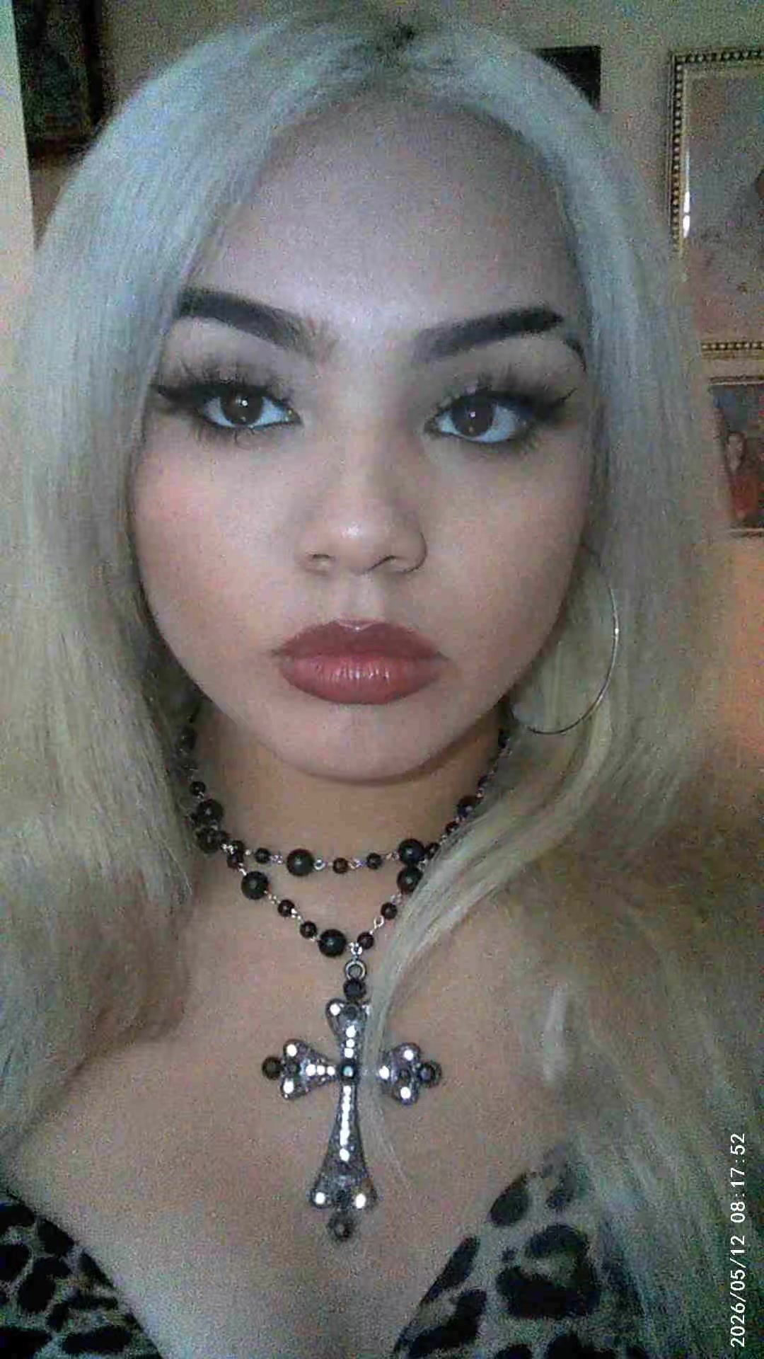 @arizstocat