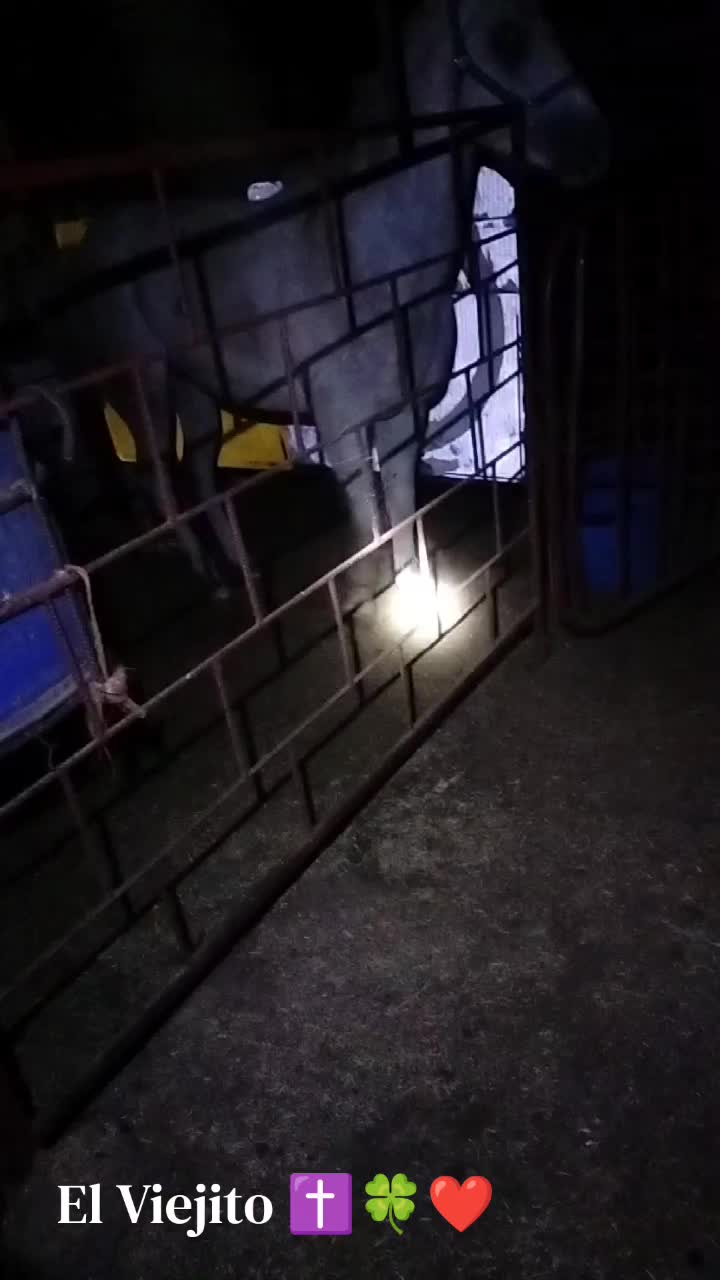 @Viejito Cordova✝️🍀❤️🐎🦅