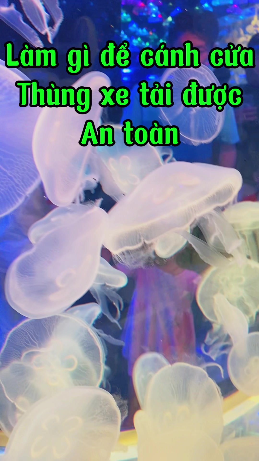 @Phụ kiện &ocirc; t&ocirc; Ho&agrave;ng B&aacute;ch