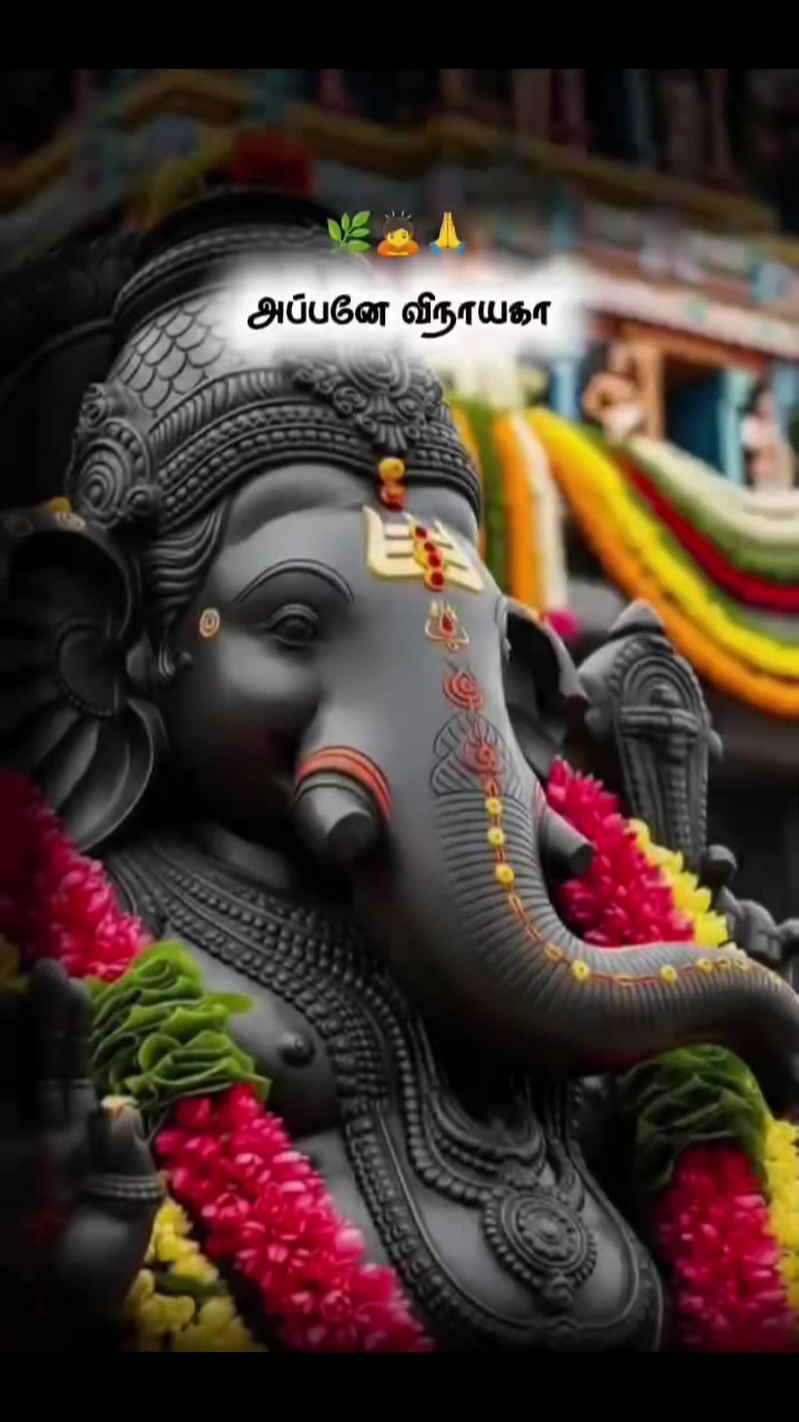 @சேட்டைக்காரன்