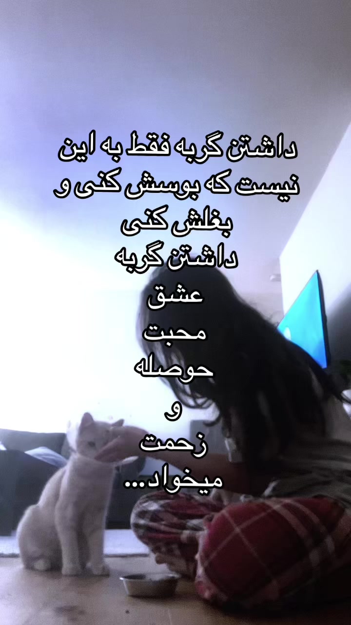 @shaynamybestieforever47
