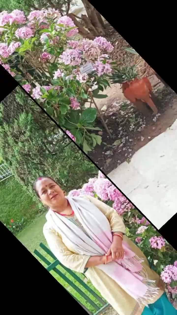 @Madhavi singh