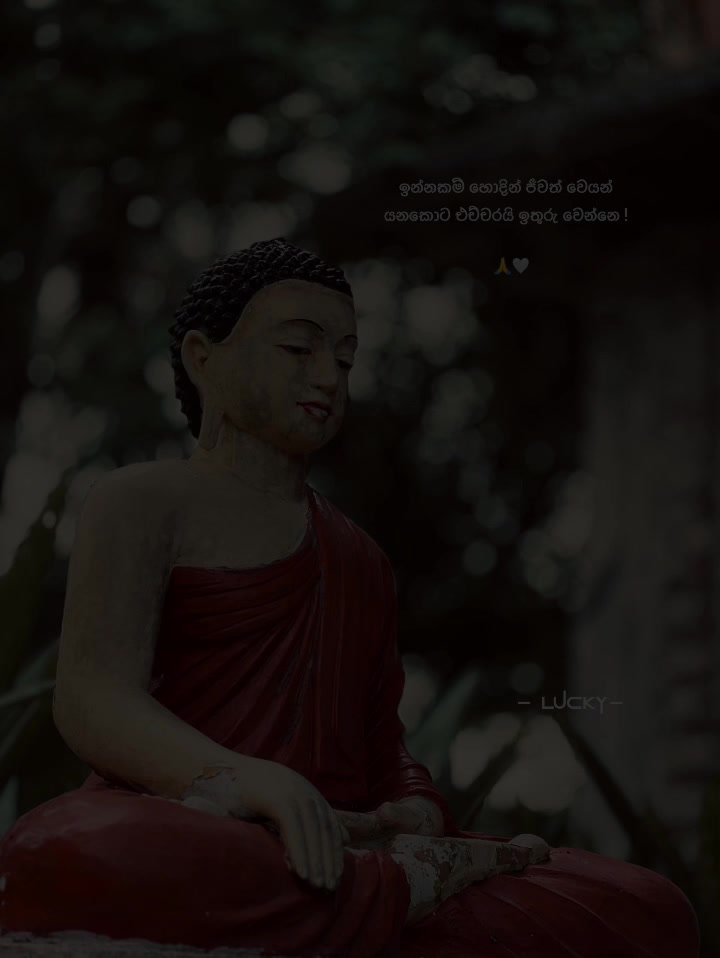 @𝙇𝙪𝙘𝙠𝙮 🫦🍑