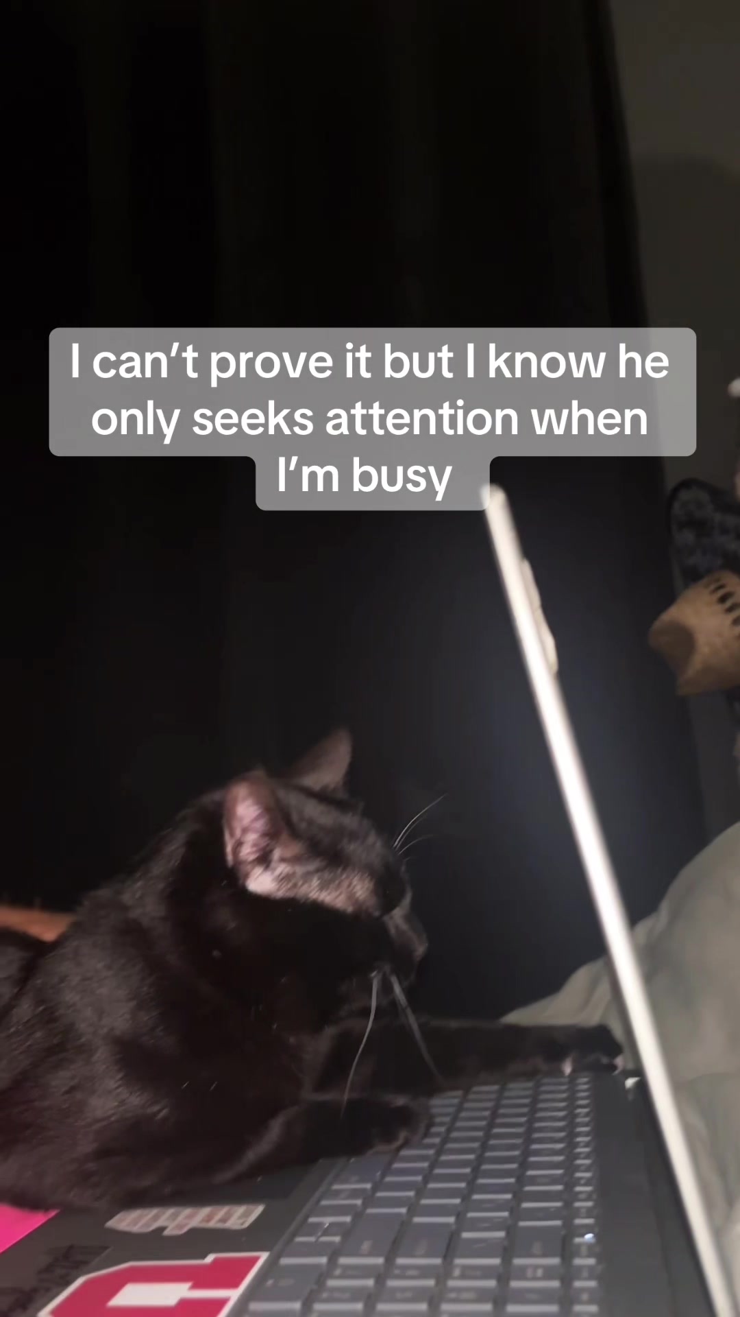 @hollywoodbadass
