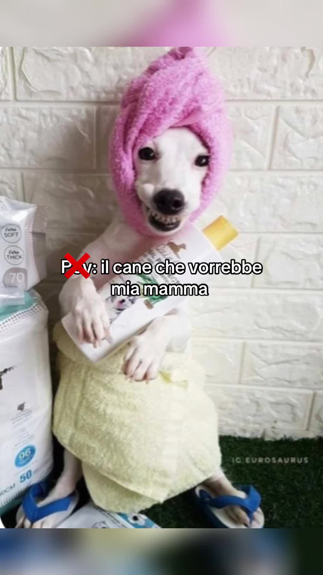 @𝓐𝓼𝓲𝓪 𝓖𝓪𝓻𝓰𝓲𝓾𝓵𝓸🧸🎀