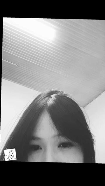 @P…๐ฆฆ๐
