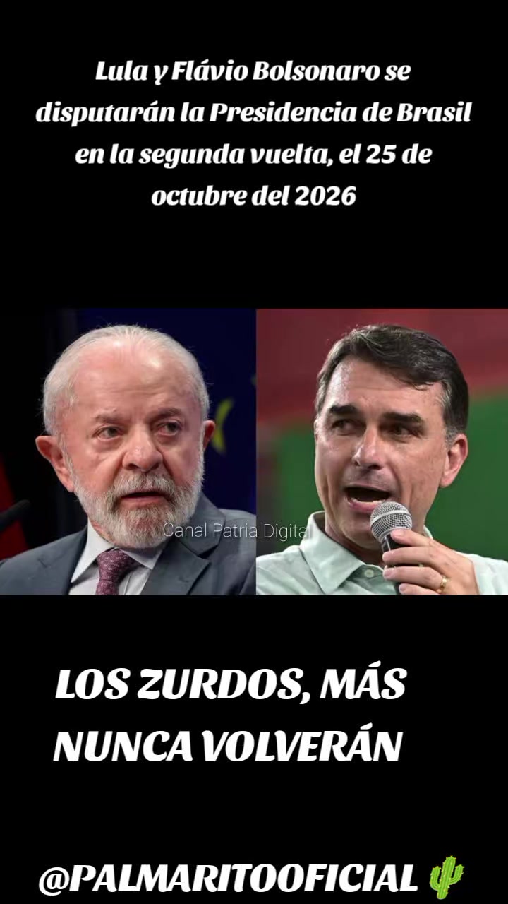 @PALMARITOOFICIAL 🌵
