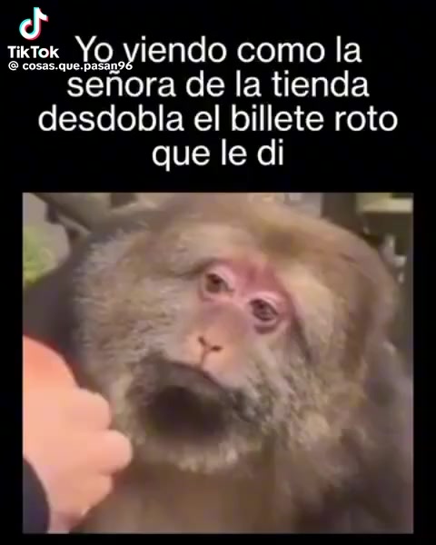 @🖤🖤Momo 🖤🖤