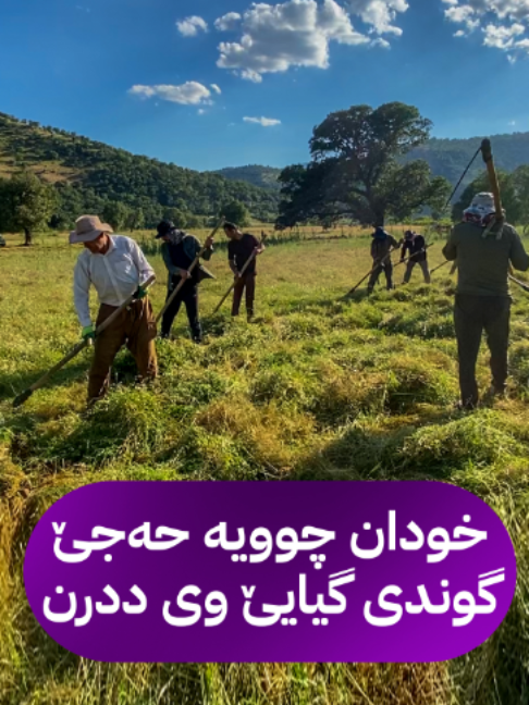 @AVA بەهدینان