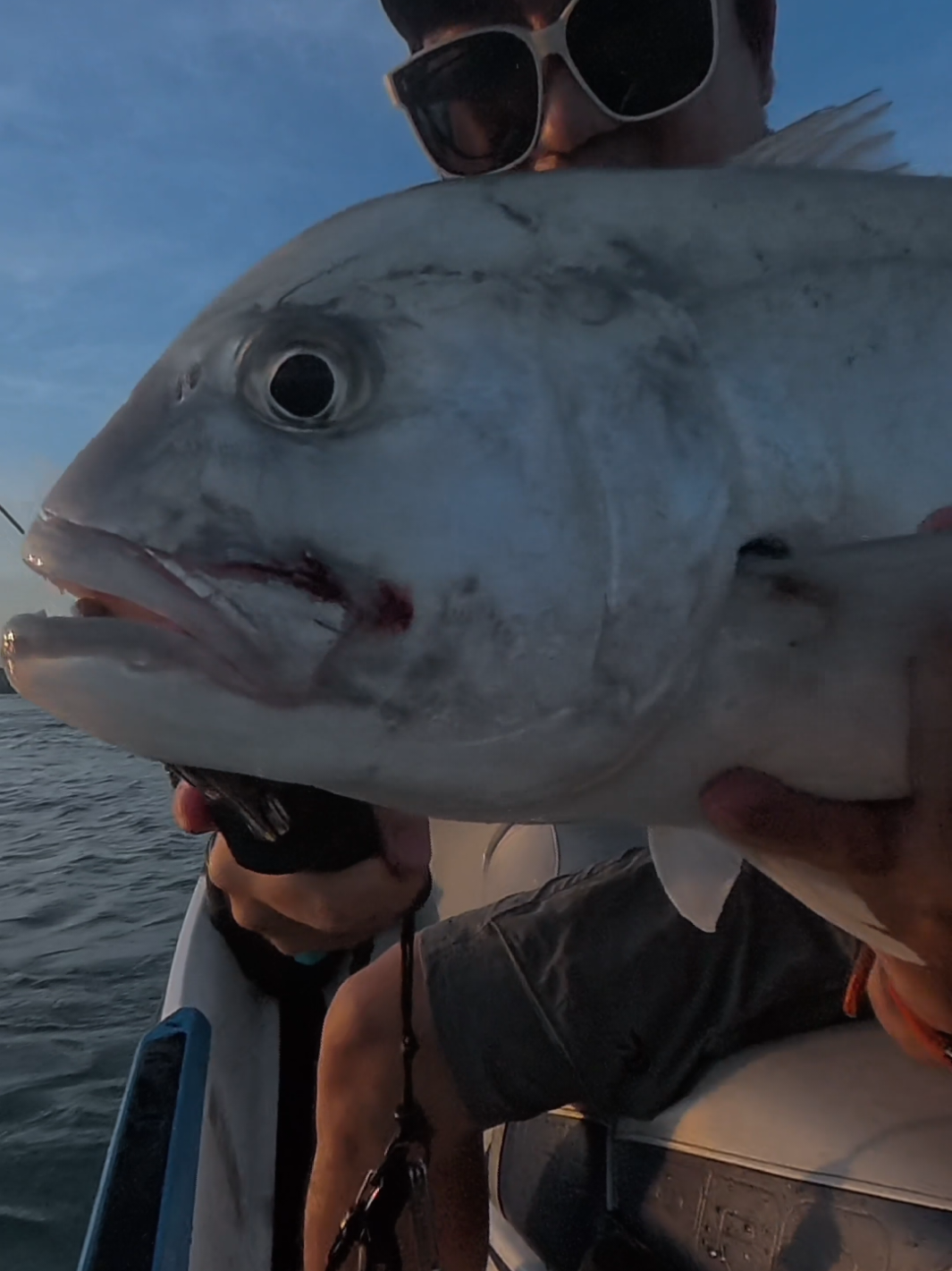 @dontellufishing