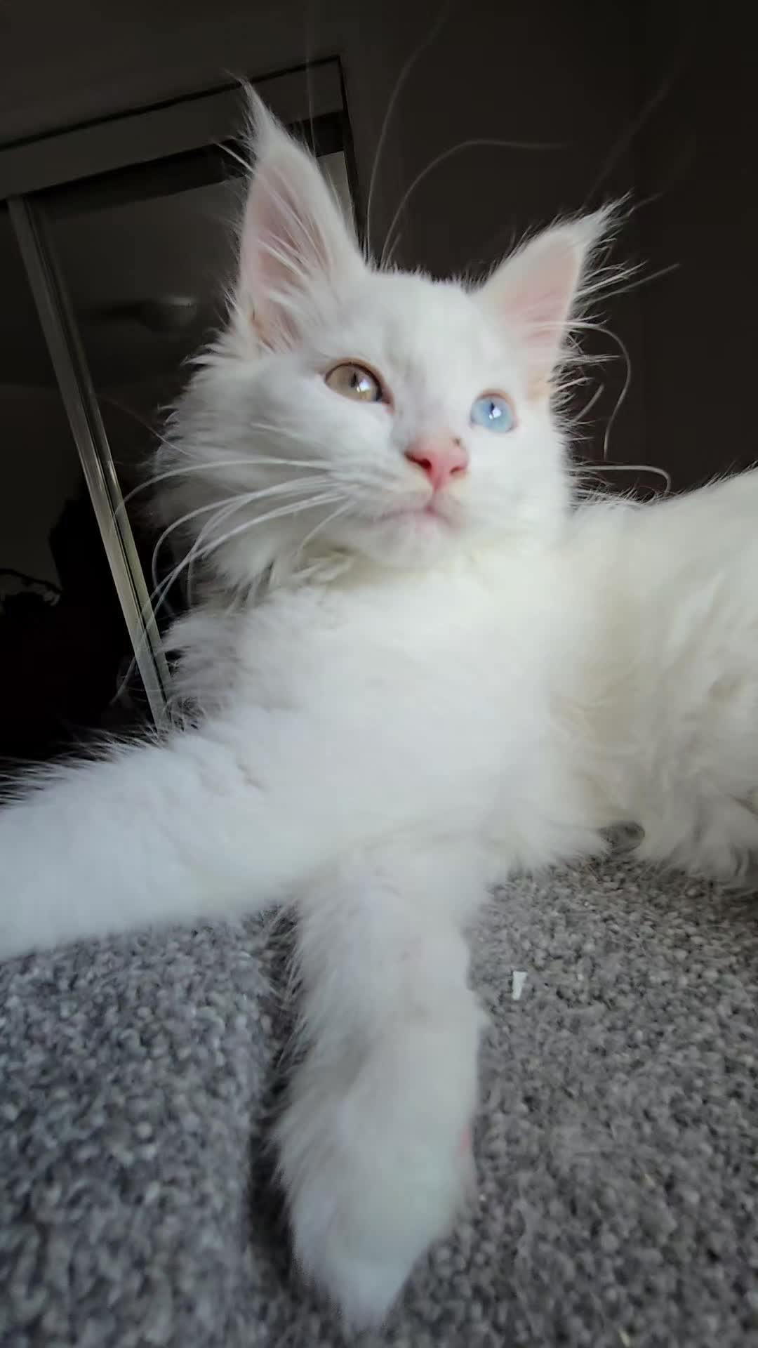 @Léo & Suki ♥️