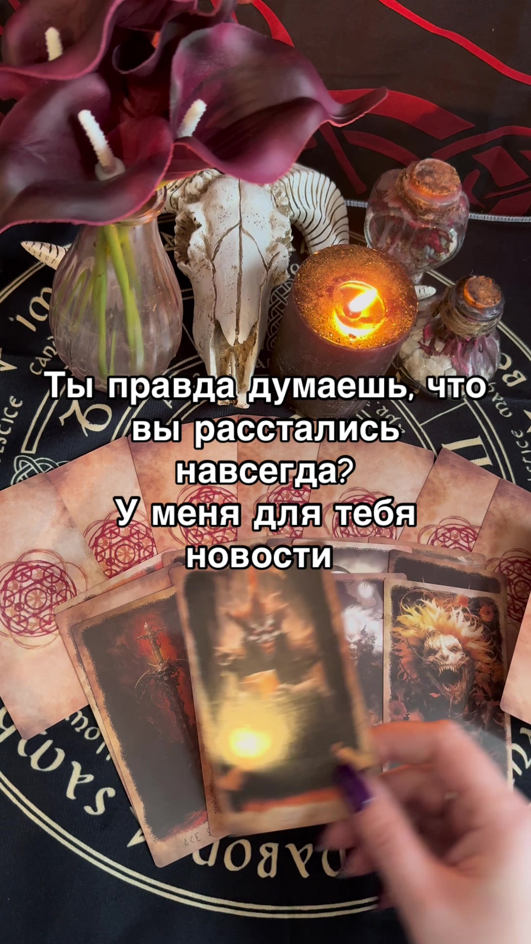 @Oksi_fox
