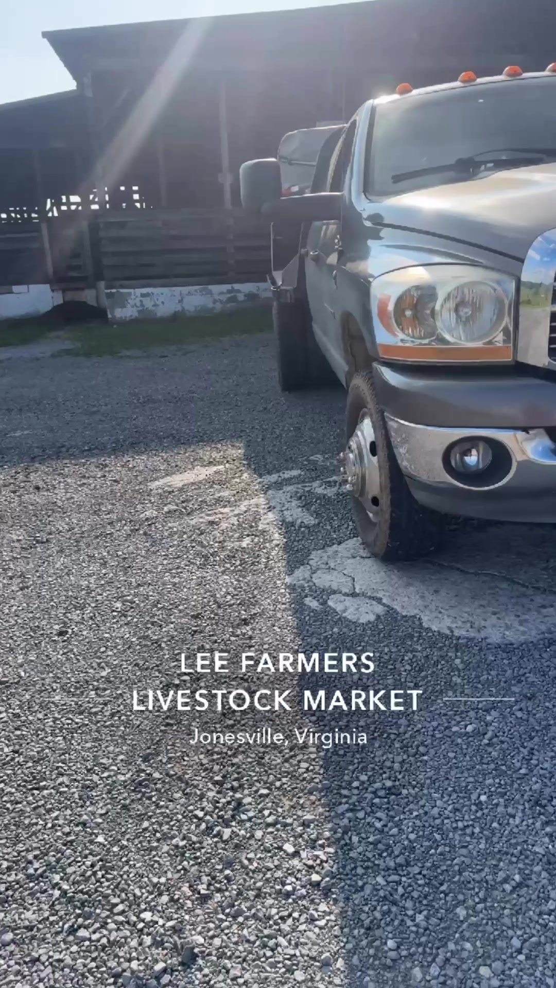 @tripleclivestock