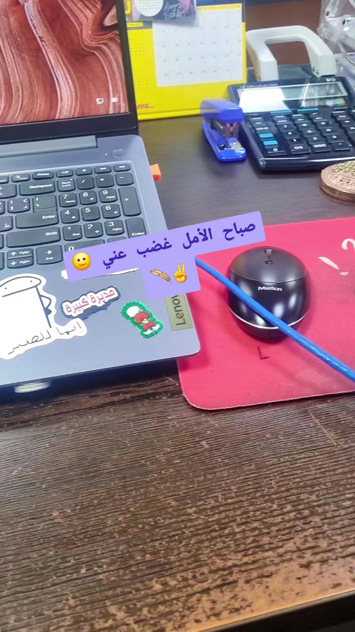 @Sara Qundil