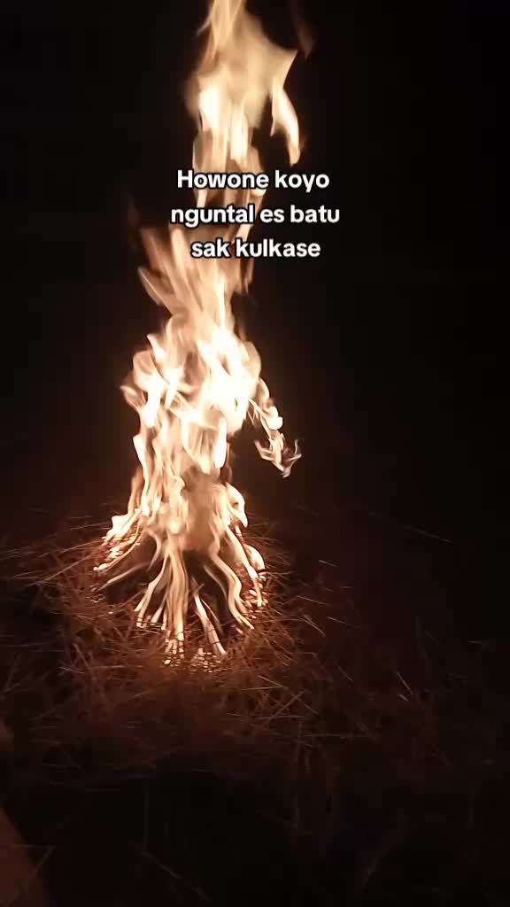 @Widya