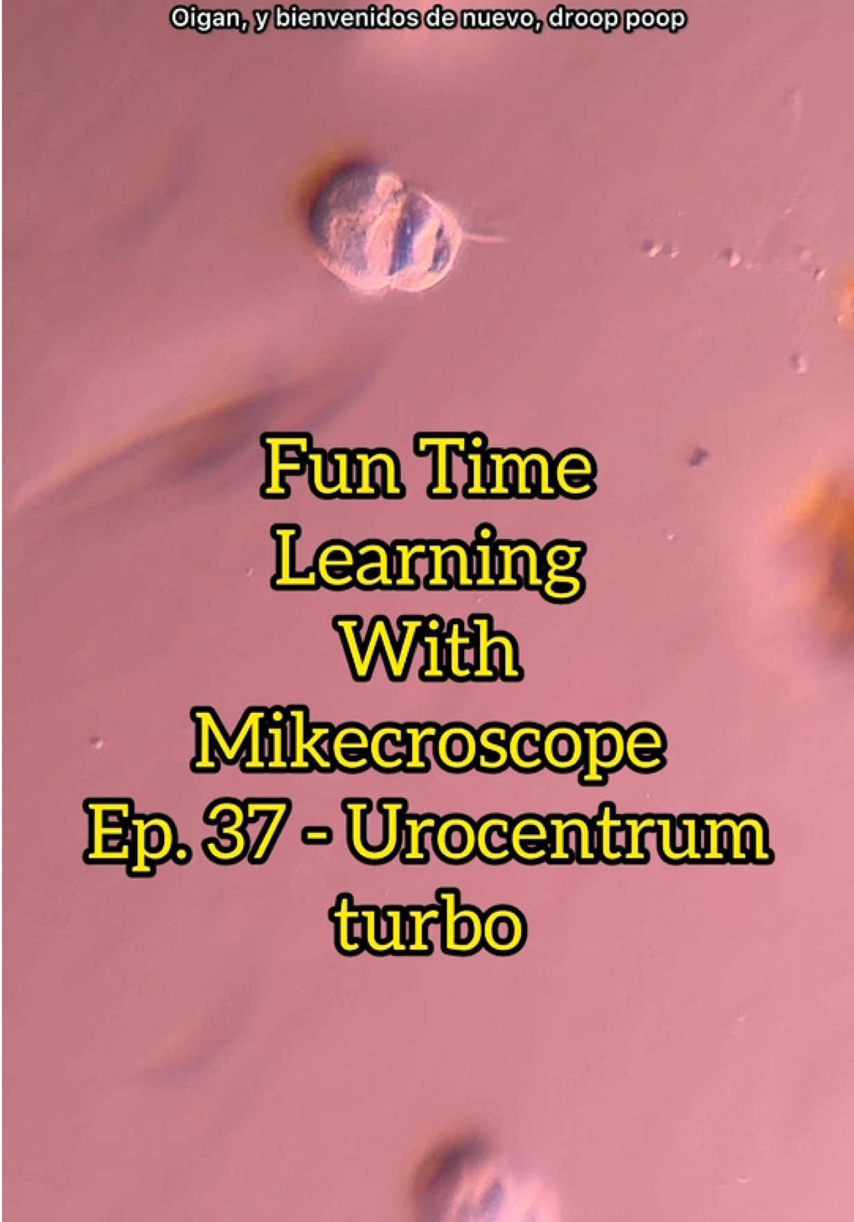 @Mikecroscope
