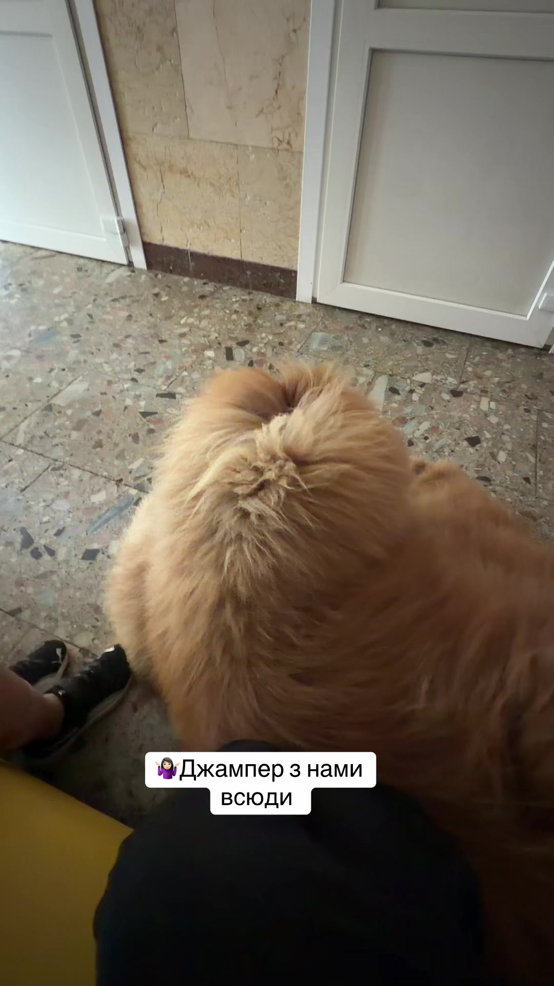 @Джампер 🦁 Jumper