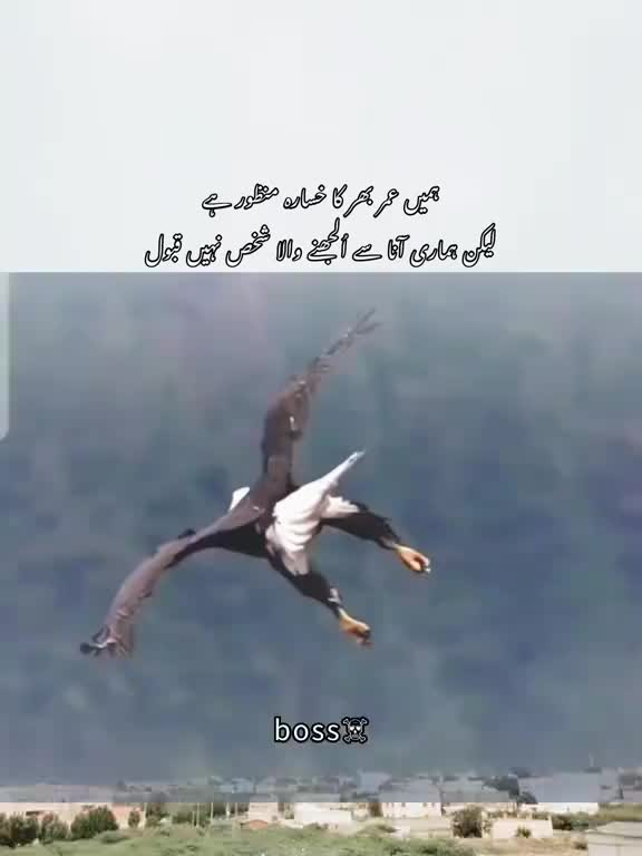 @Shibli 074