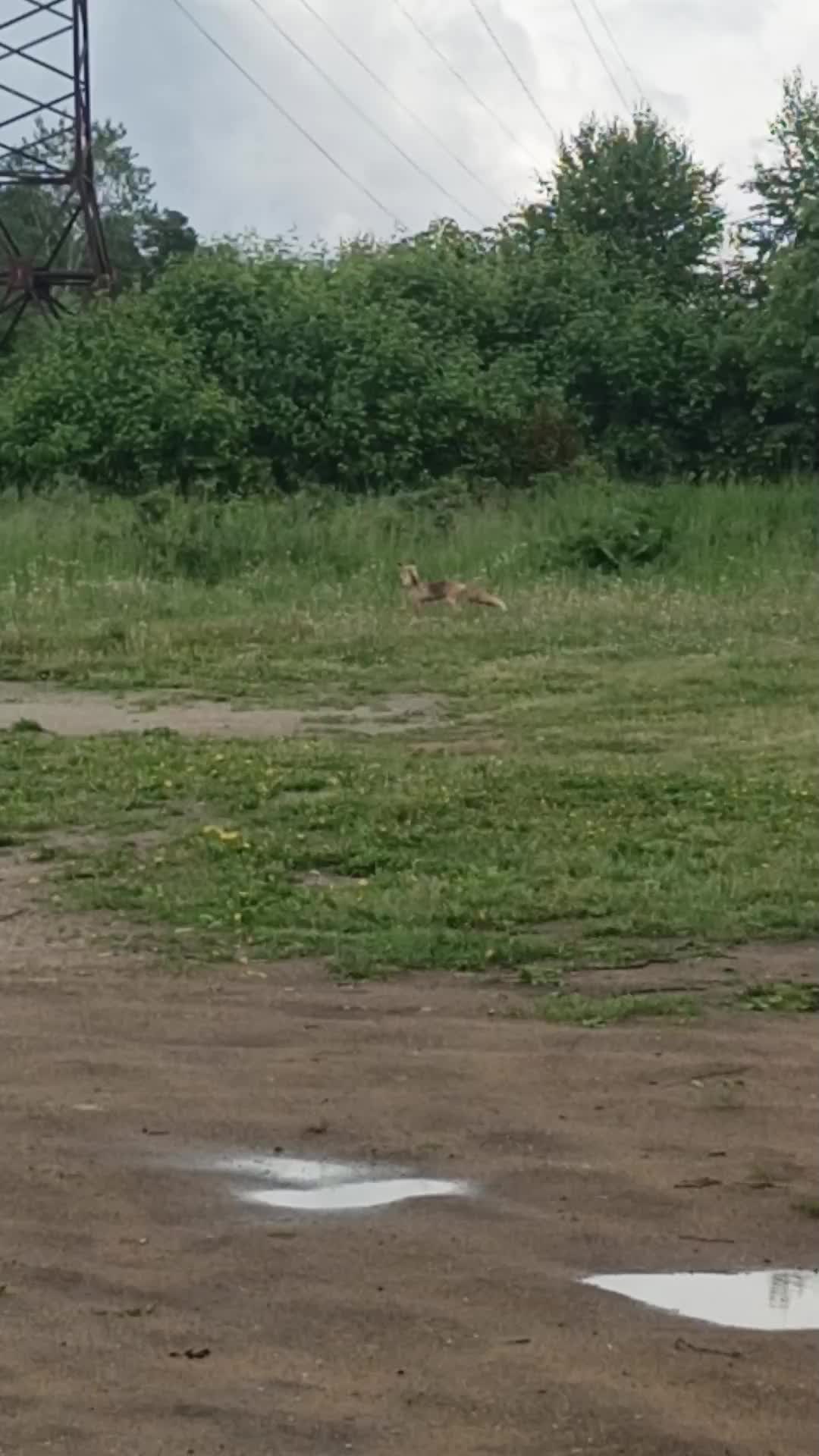 @Ольга