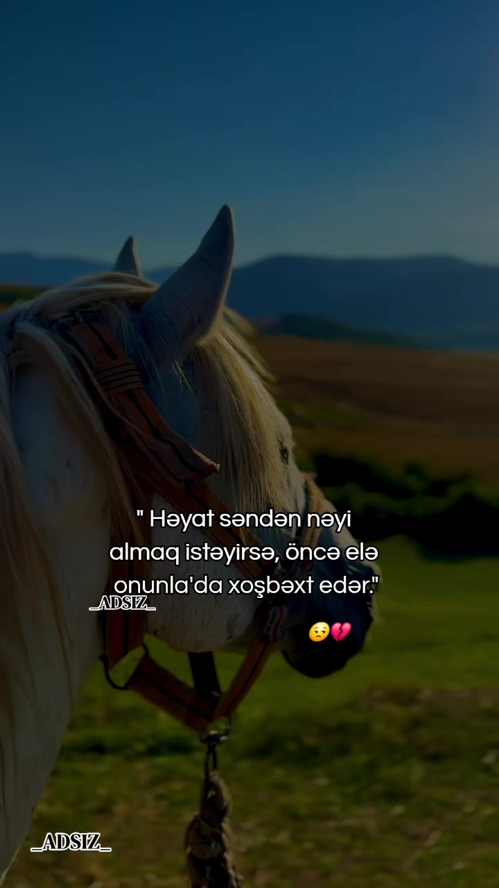 @_ADSIZ_