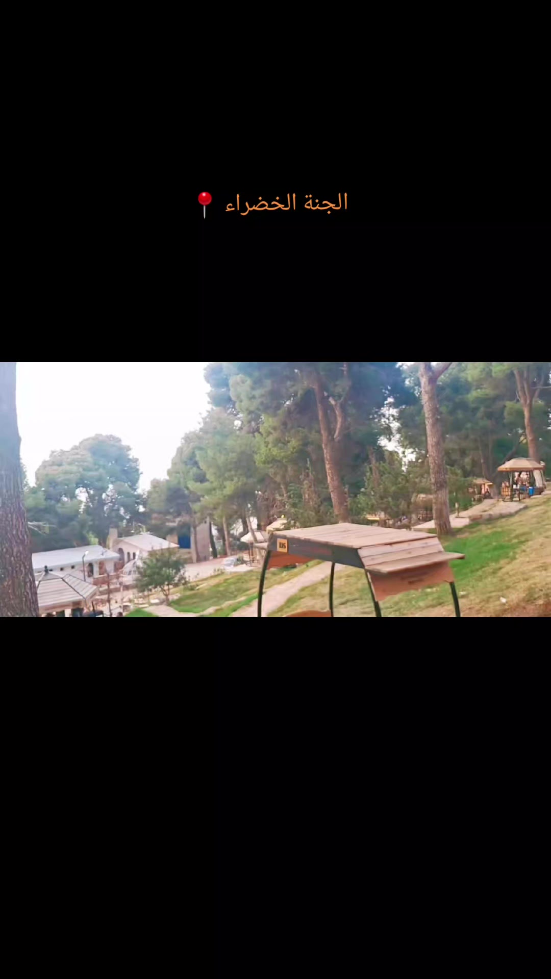 @Lina🐬13