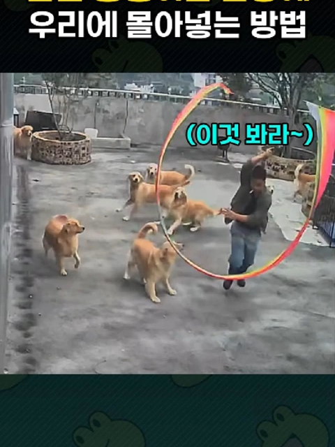 @개블리