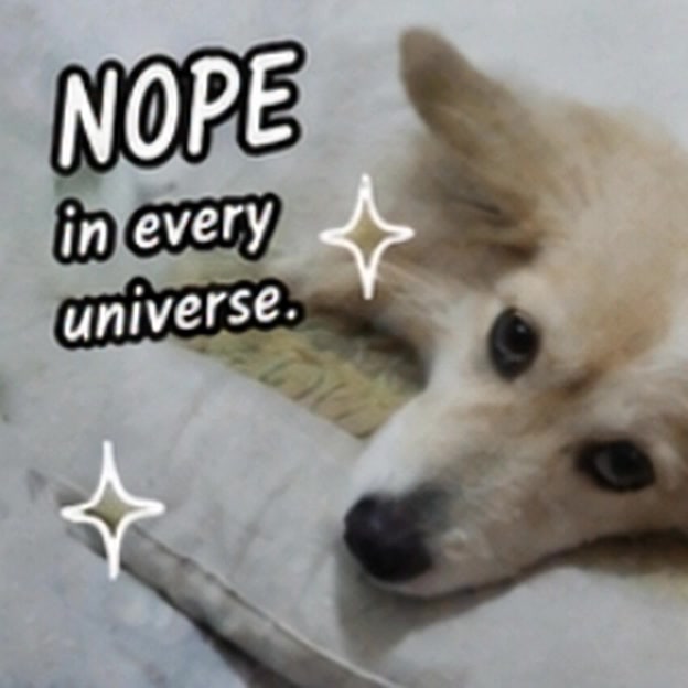 @💕𝓙𝓪𝓷𝓲𝓬𝓮💕