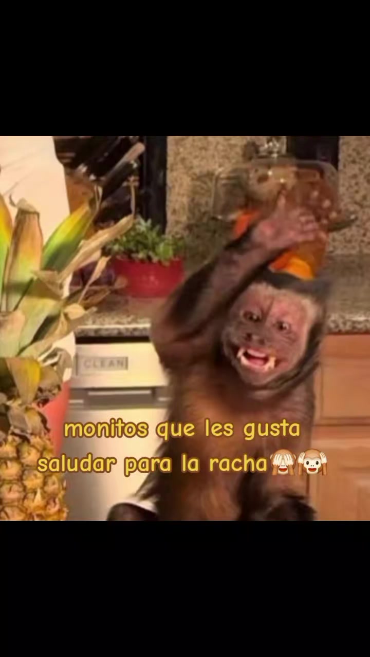 @ℙ𝕣𝕚𝕤𝕔𝕚𝕝𝕒🥰❤️🙉🙈🍌