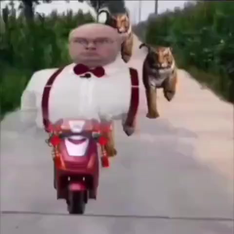 @๐ญ๐๐๐๐ ๐พ๐๐๐๐