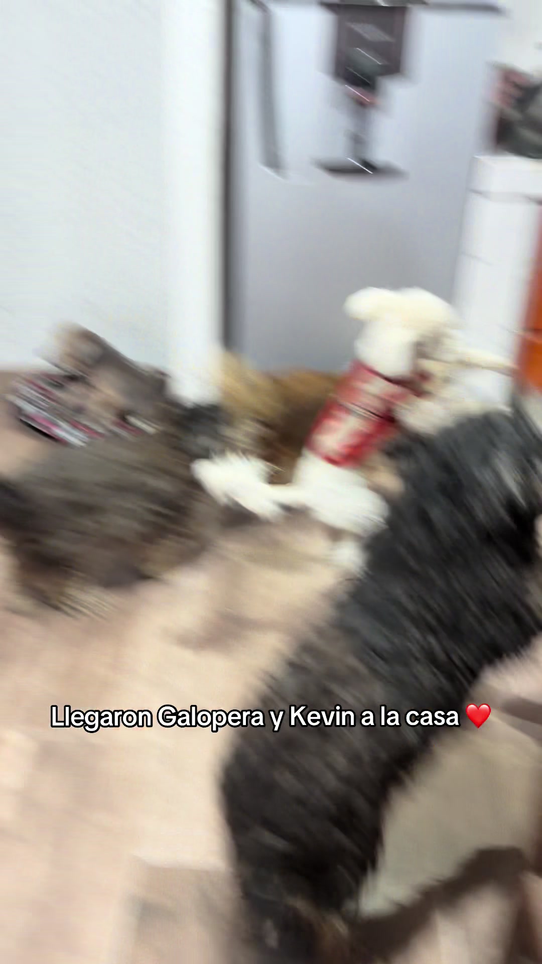 @Jorgelina Luc&iacute;a Barrionuevo