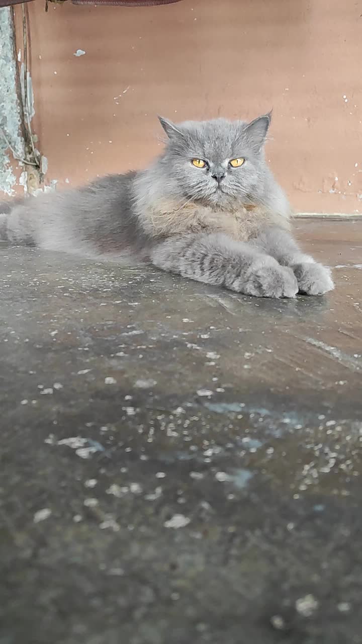 @MiSsLooFa