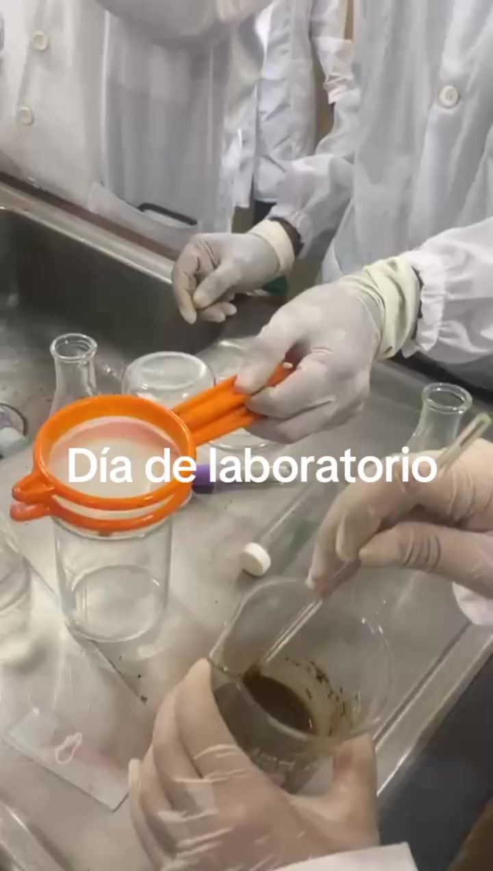 @Sofía Rivas