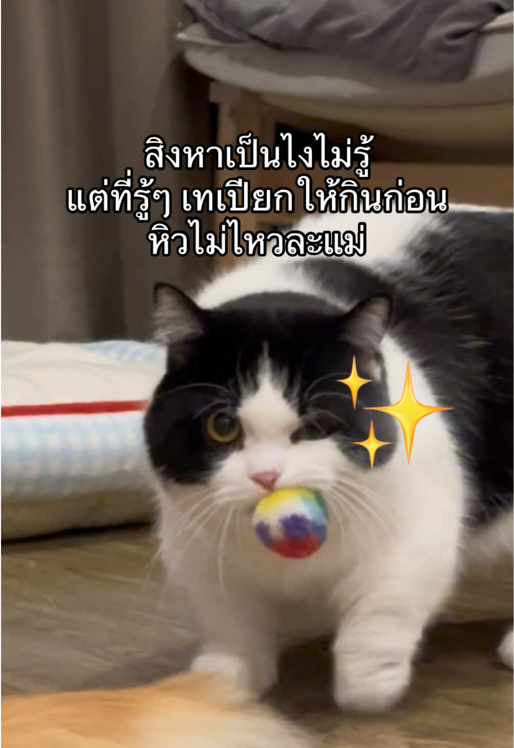 @เยอร์เก้นอยากเป็นดารา