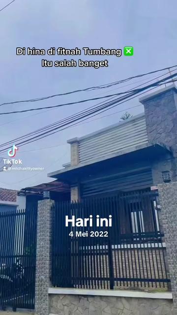 @OWNER MILDHAKITTY PELANGSI