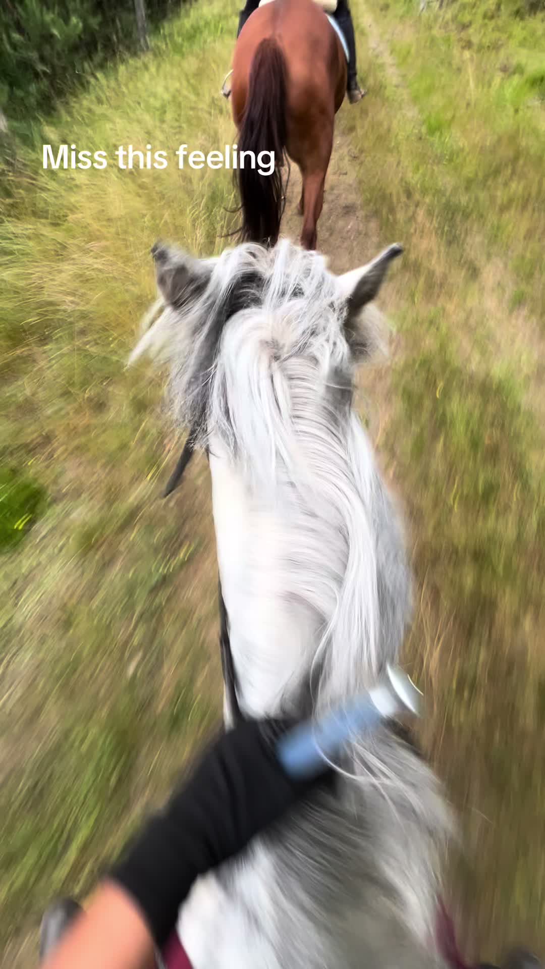 @s.equestrian