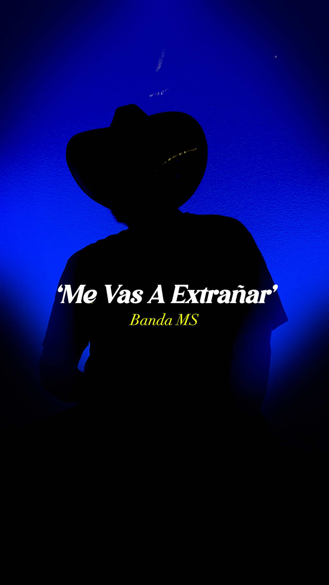 @Traxlate