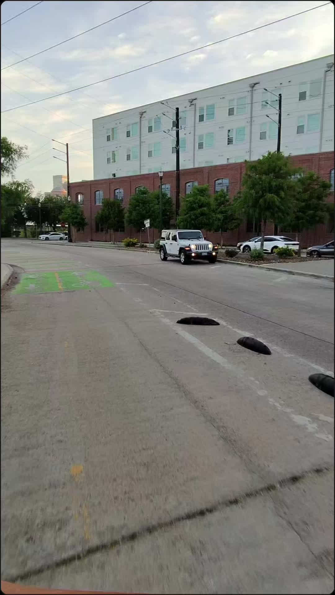 @EloscarinHTX
