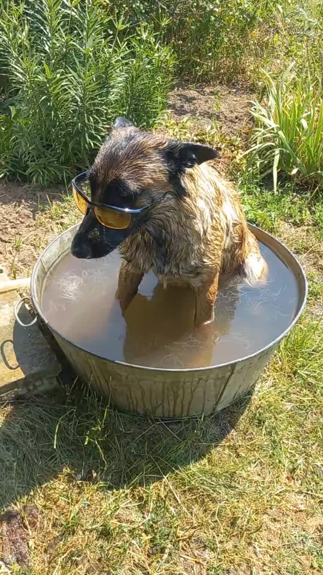 @Євгенія Ізерт