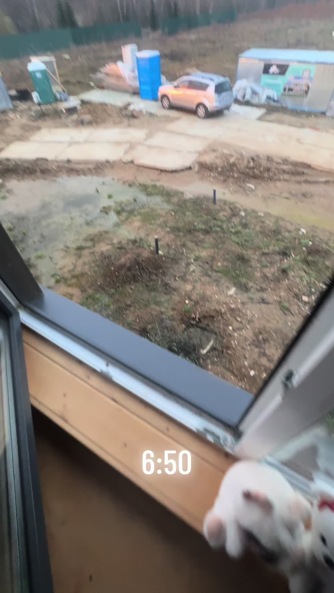 @тру санек🥱