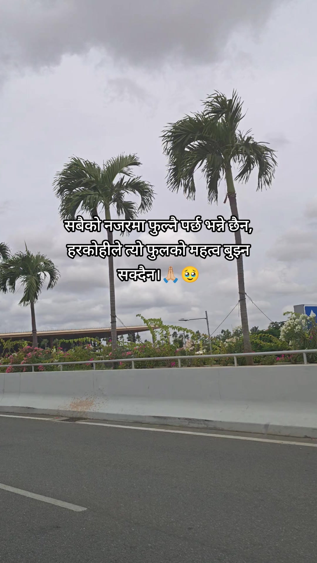 @..🦋👑AaR_ZuU..❤️🩹🫶