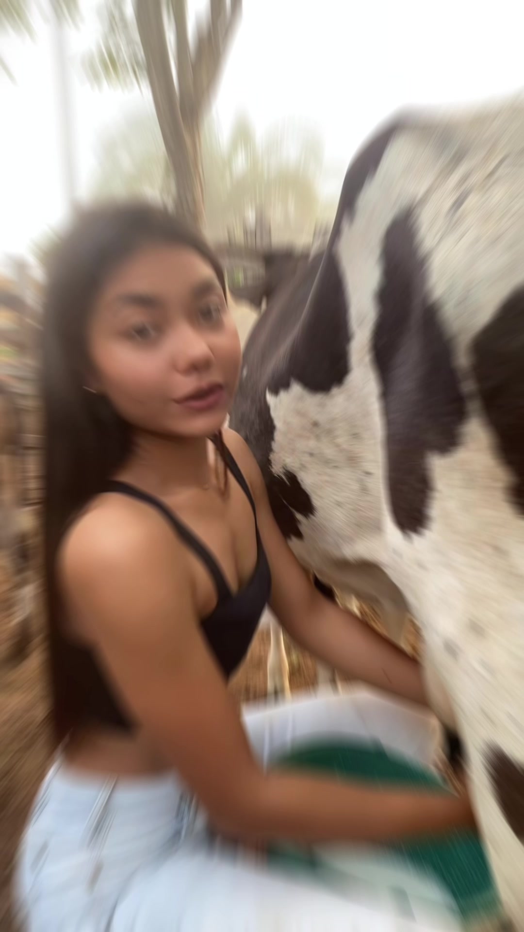 @Fatolizando